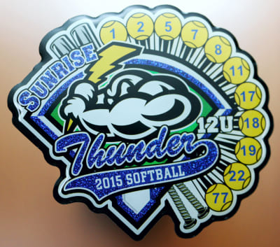 sunrise thunders 2015 softball pin