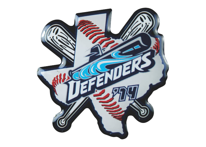 defenders '14 baseball pin