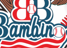 TEXAS bambino baseball pin