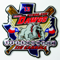 dawgs baseball pin